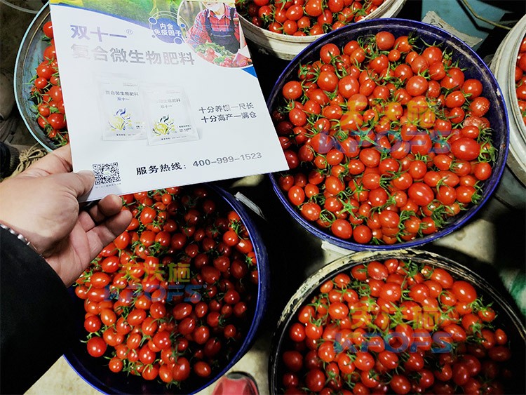 夫沃施進(jìn)口肥怎么樣？