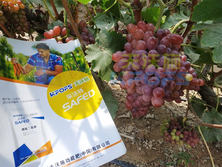 磷酸二氫鉀為什么都說粉劑的好？