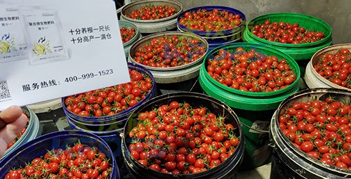 夫沃施進(jìn)口肥怎么樣？