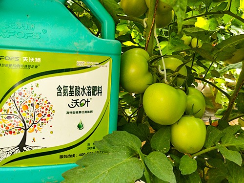 蔬菜沖施肥哪個(gè)品牌好？經(jīng)驗(yàn)實(shí)談