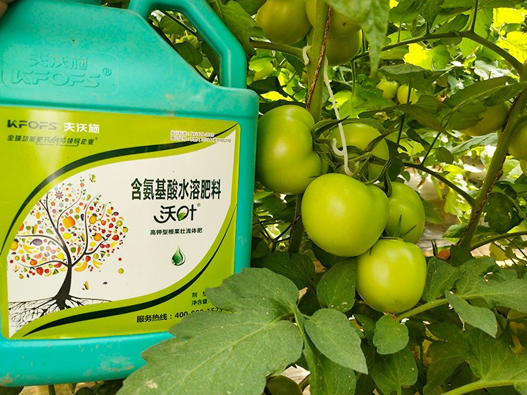蔬菜沖施肥哪個品牌好？經(jīng)驗實談