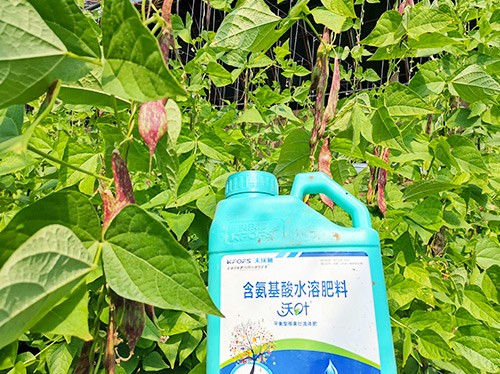 進(jìn)口水溶肥，懂行的人都這么選！