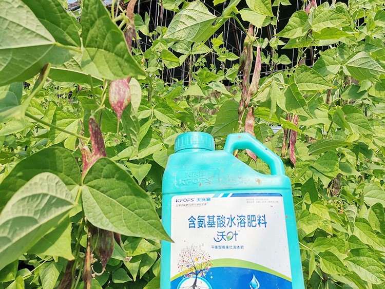 進(jìn)口水溶肥，懂行的人都這么選！