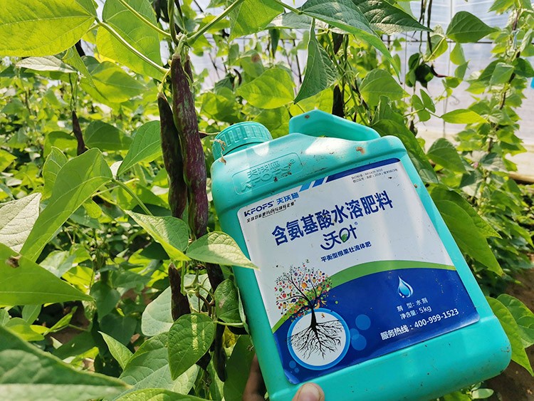 進(jìn)口水溶肥，懂行的人都這么選！