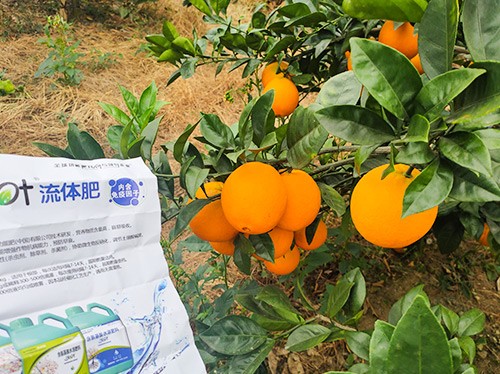 好的水溶肥是什么生產工藝？