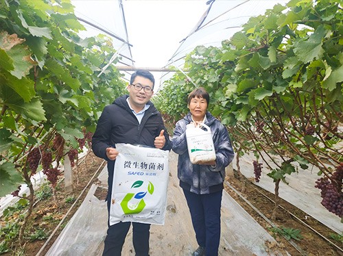 水溶肥廠家夫沃施都說好？好在哪？