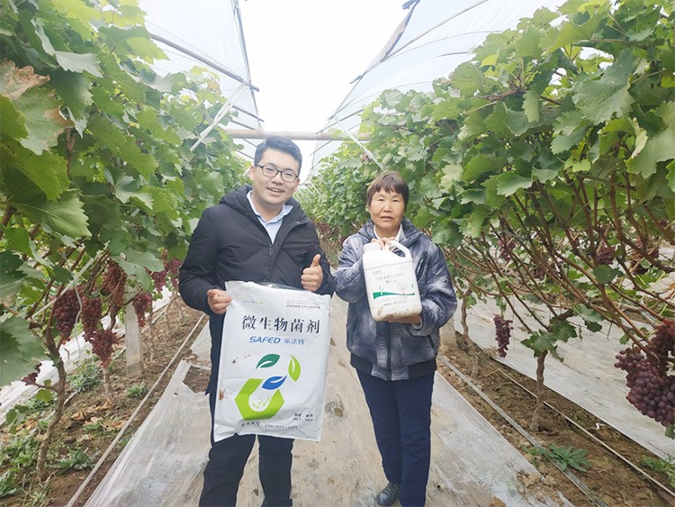 水溶肥廠家夫沃施都說好？好在哪？
