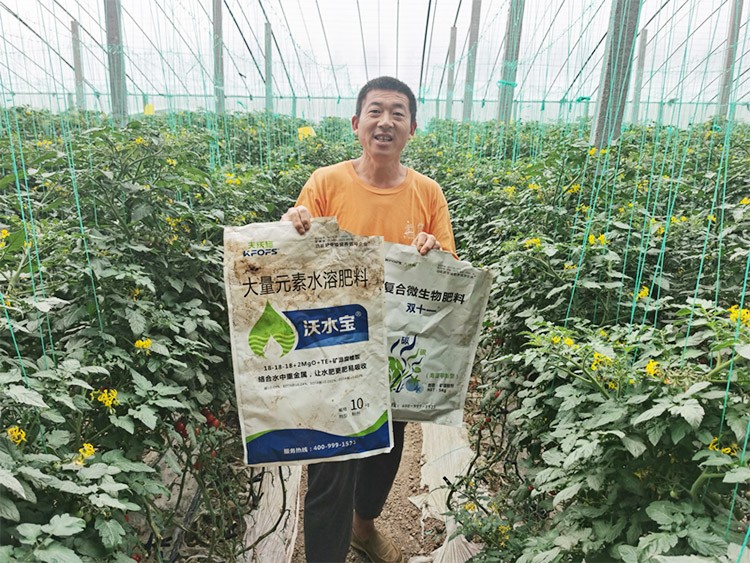 水溶肥廠家夫沃施都說好？好在哪？