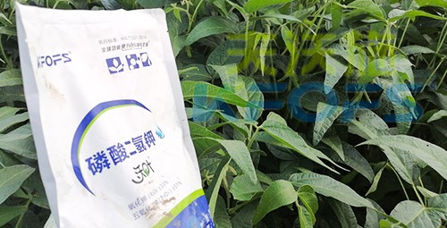 進口磷酸二氫鉀不得不了解的一個品牌！