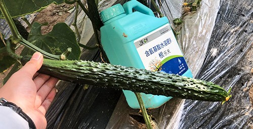 生根劑要安全不傷根，就選這個(gè)牌子！