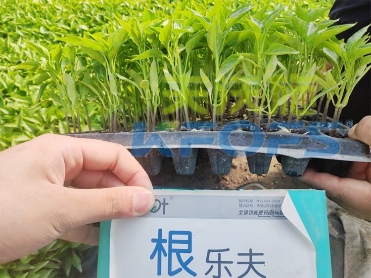 生根劑要安全不傷根，就選這個牌子！