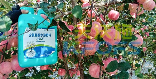 沖施肥怎么去沖施？什么牌子的好？