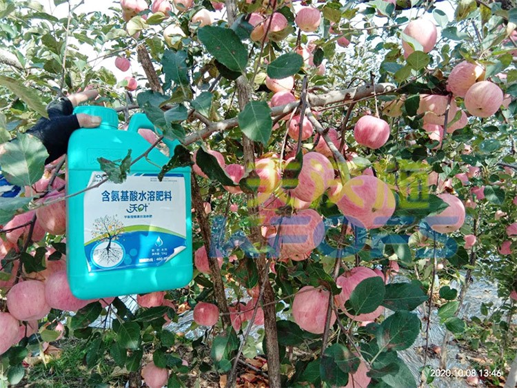 沖施肥怎么去沖施？什么牌子的好？