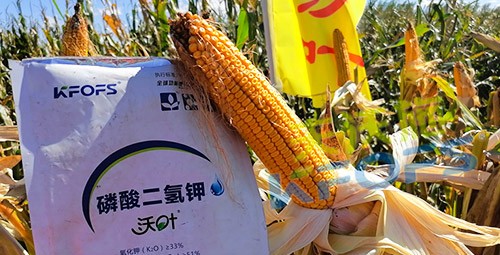 進(jìn)口磷酸二氫鉀哪個(gè)品牌好？