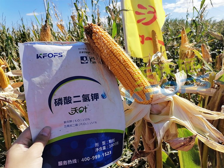 進(jìn)口磷酸二氫鉀哪個品牌好？