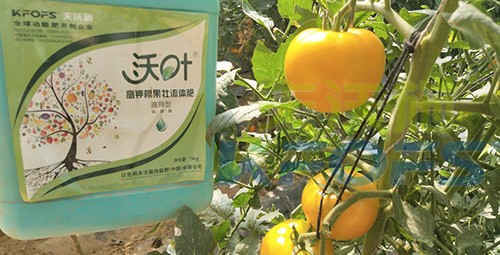 水溶肥的作用，不得不說太強(qiáng)大了！