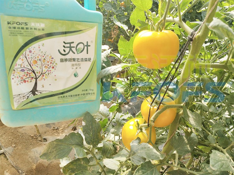 水溶肥的作用，不得不說(shuō)太強(qiáng)大了！
