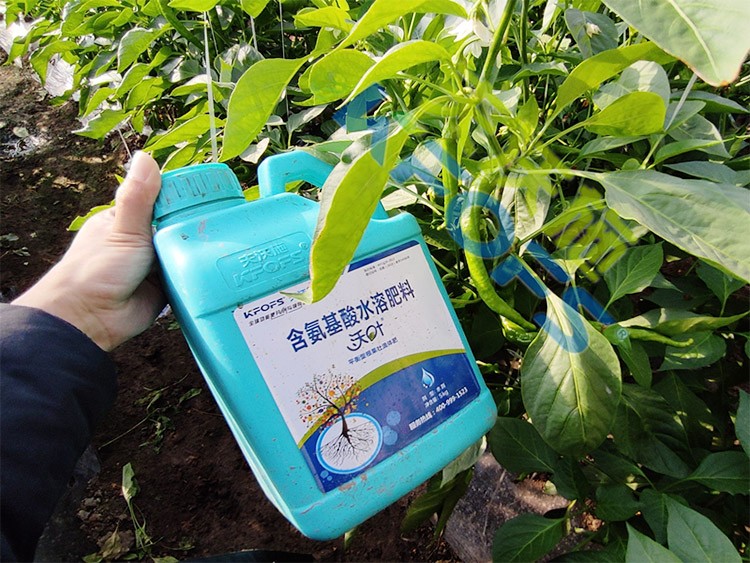 水溶肥的作用，不得不說(shuō)太強(qiáng)大了！