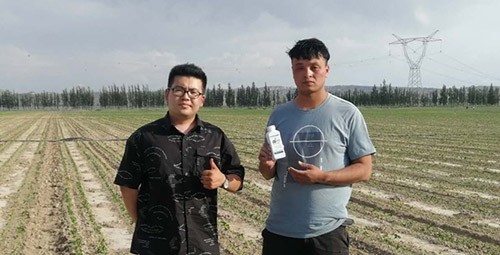 藥害還能恢復(fù)生長嗎？這篇告訴你！