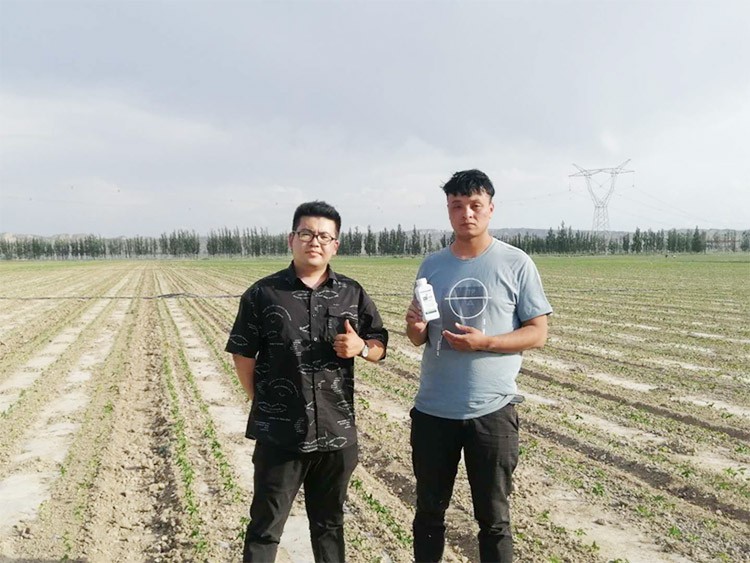 藥害還能恢復生長嗎？這篇告訴你！