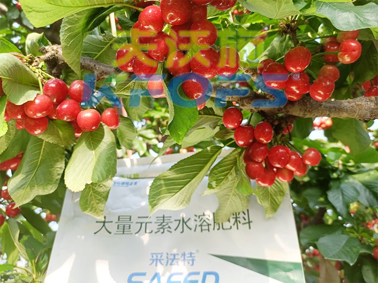 大量元素水溶肥為什么都說進口的好？