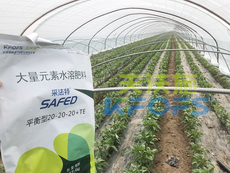 大量元素水溶肥為什么都說進口的好？