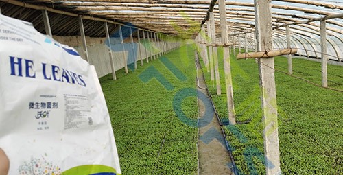 微生物菌劑廠家哪家好？