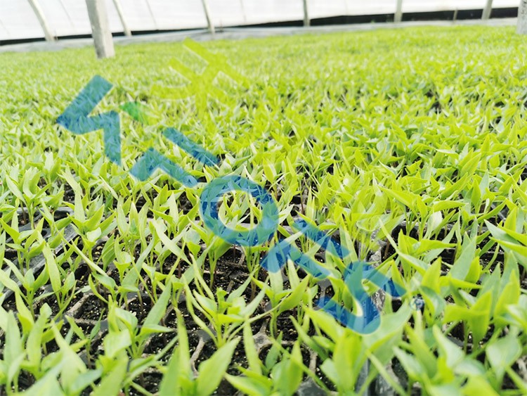微生物菌劑廠家哪家好？