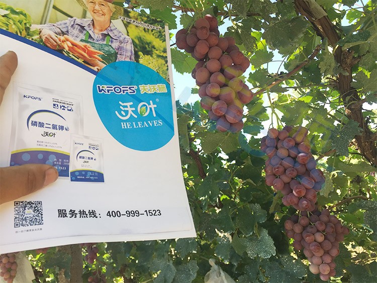 進(jìn)口磷酸二氫鉀和國(guó)產(chǎn)有什么區(qū)別？