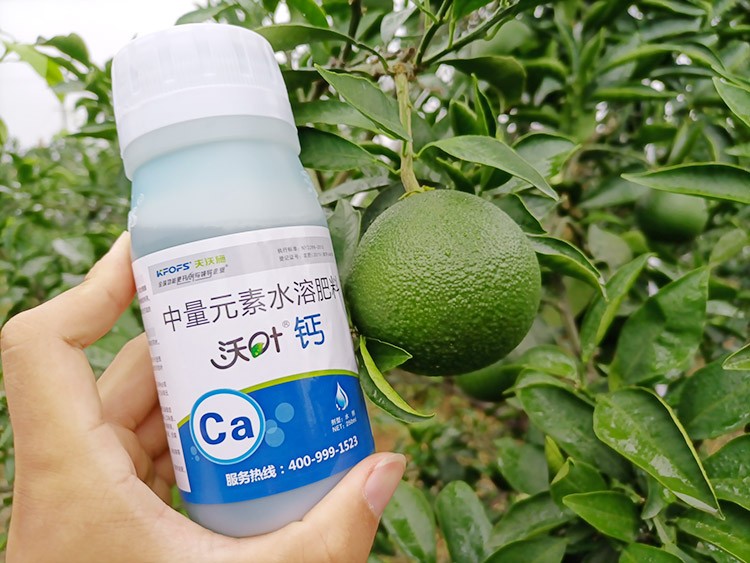 果樹補(bǔ)鈣用什么鈣肥好？