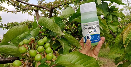 硼肥哪個(gè)品牌的好？這款不要錯(cuò)過！