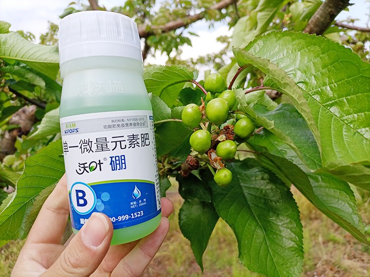 硼肥哪個(gè)品牌的好？這款不要錯(cuò)過(guò)！