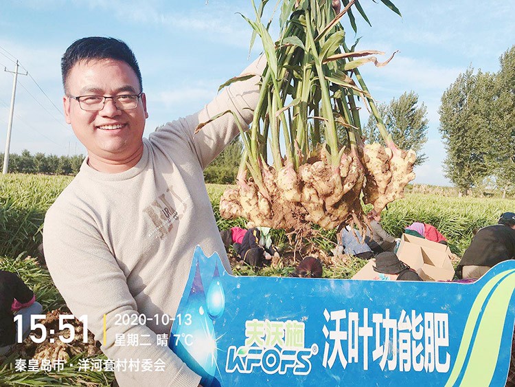 進(jìn)口水溶肥推薦你選沃葉，這就是原因！