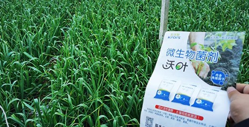微生物菌劑選它，放心又舒心！