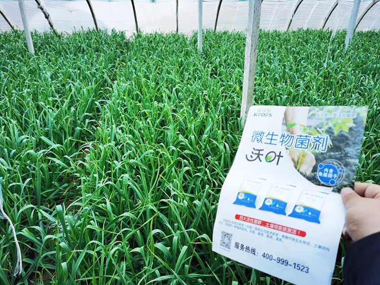 微生物菌劑選它，放心又舒心！