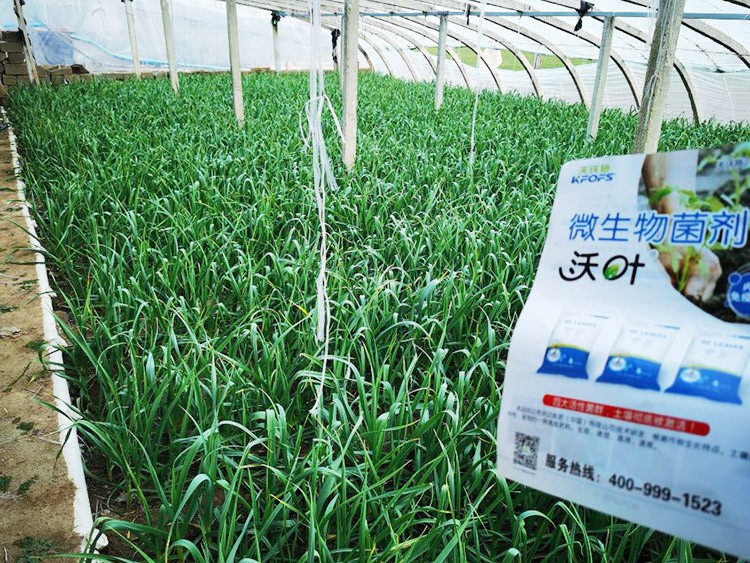 微生物菌劑選它，放心又舒心！