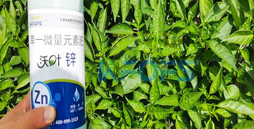 鋅肥是什么肥料？辣椒用有什么好處？