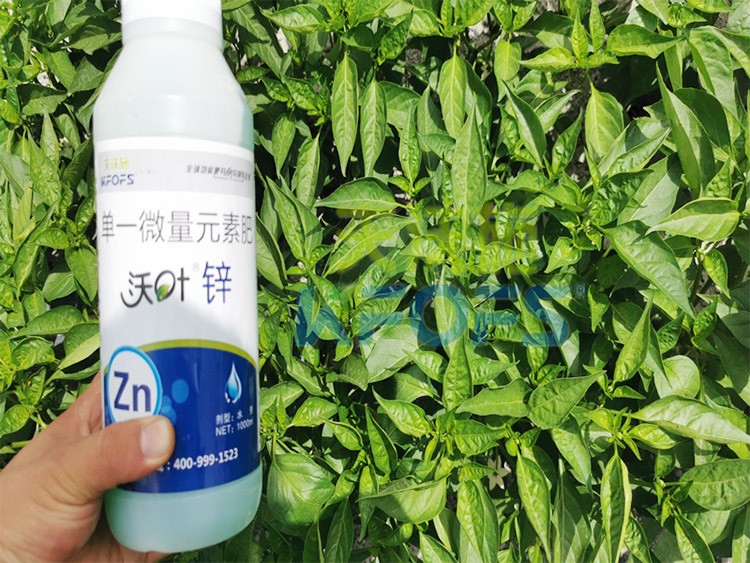 鋅肥是什么肥料？辣椒用有什么好處？