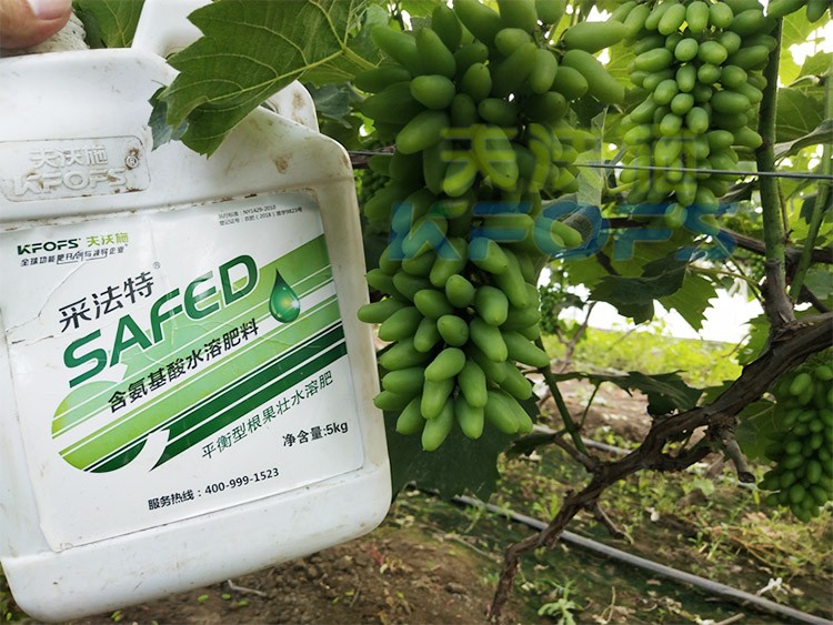 葡萄水溶肥品牌哪個好？案例告訴你！