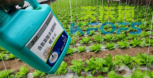 蔬菜用進口水溶肥，有什么突出效果？