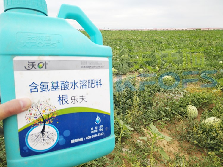 西瓜用什么進口水溶肥好？