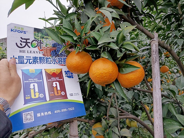 果樹水溶肥什么牌子好？