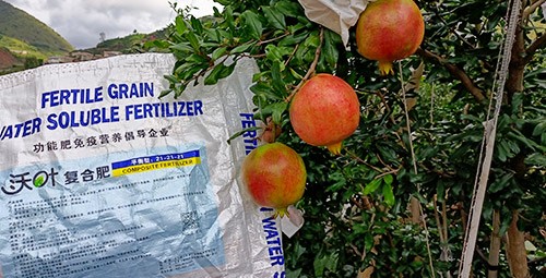 石榴施肥用什么肥料效果好？