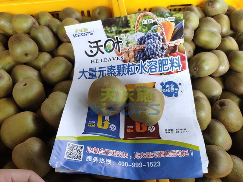 獼猴桃用哪款顆粒水溶肥產(chǎn)量高？