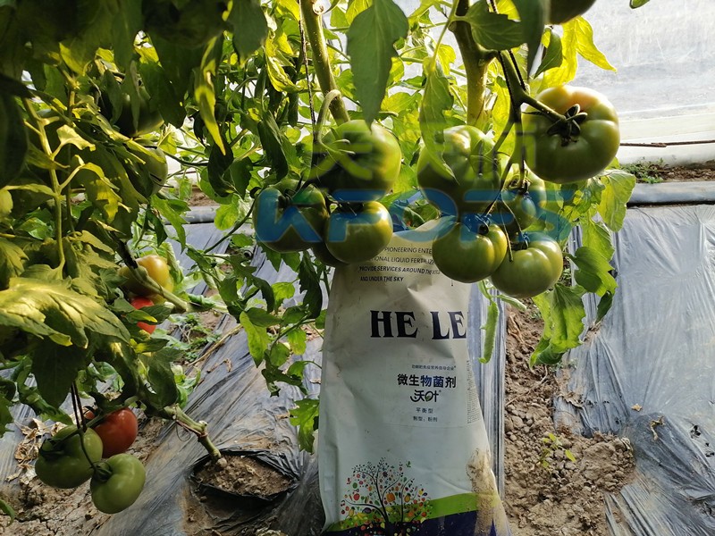 進(jìn)口水溶肥不知道這個(gè)牌子，你虧大了！