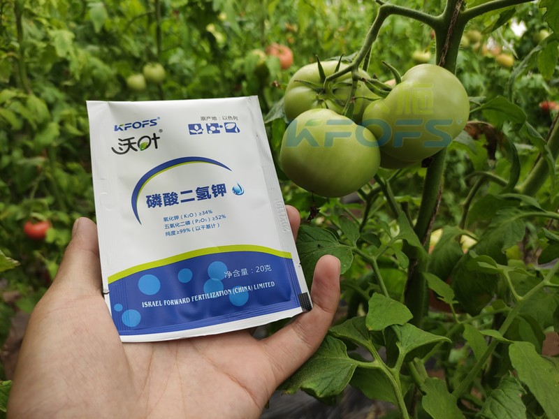 葉面肥磷酸二氫鉀，竟然這么好用！