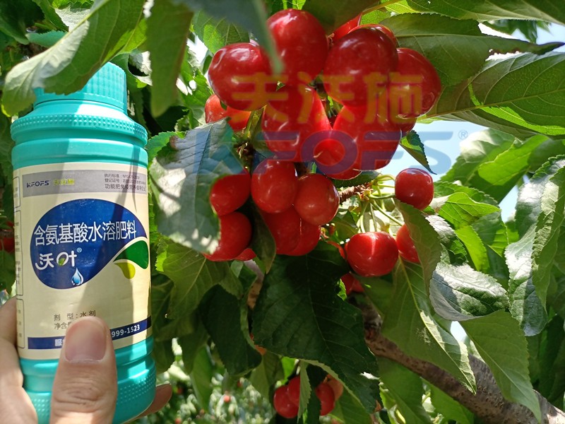 這款水溶肥，種植戶都愿意長期使用！