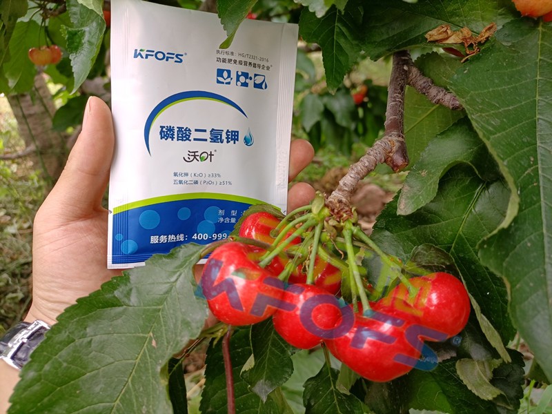 磷酸二氫鉀的正規(guī)廠家哪個(gè)好？這些方面要記牢！