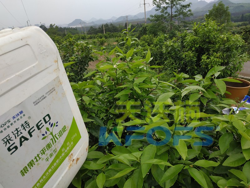 水溶肥的合理價(jià)格究竟如何判斷？這幾點(diǎn)很重要！