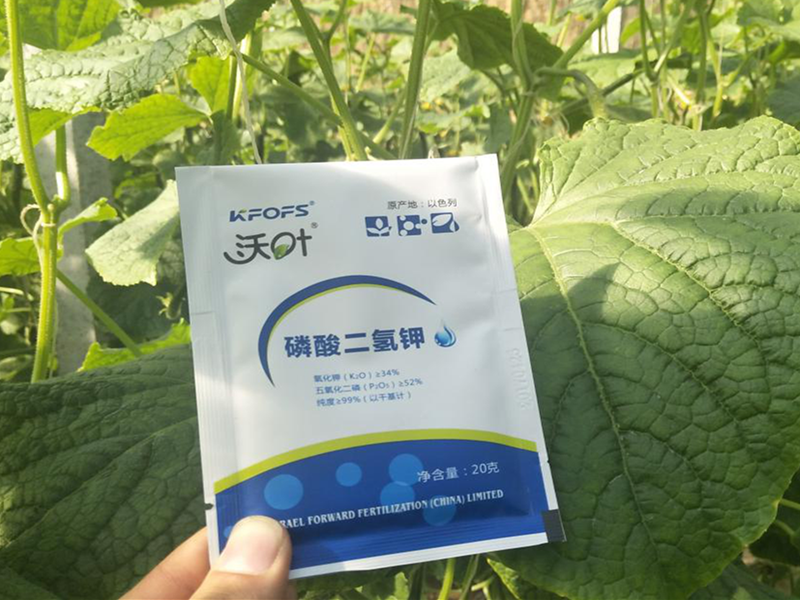 夫沃施離子磷酸二氫鉀，效果看得見！